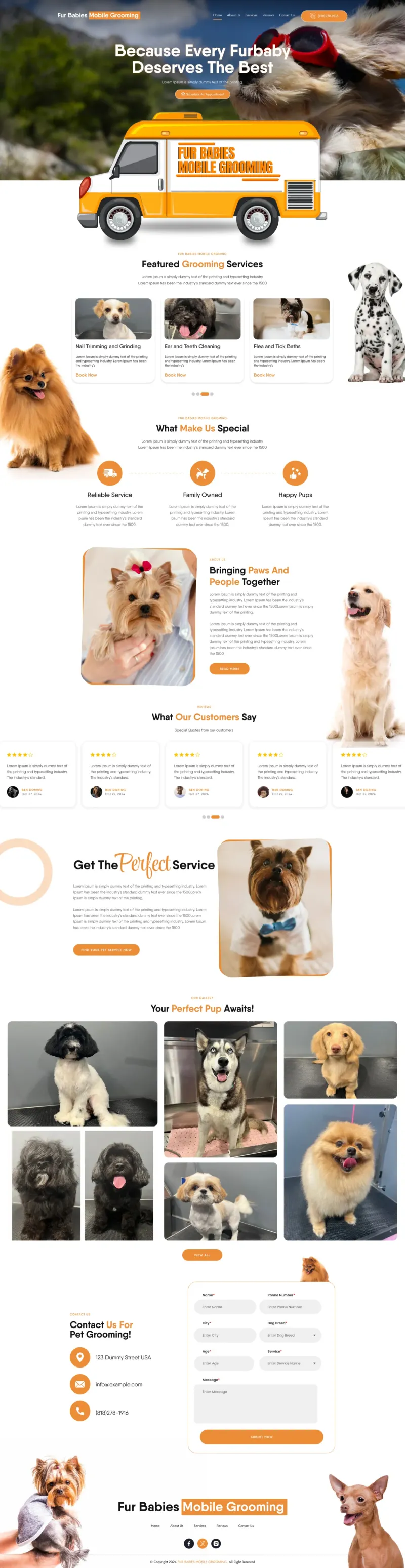 Website design by The Website Providers
